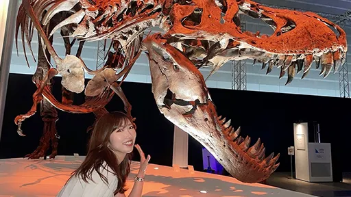 山田 瑛美