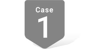 case1