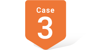 case3