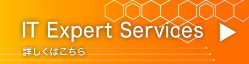 IT Expert Services