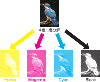 4色への色分解イメージ