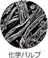 化学パルプ