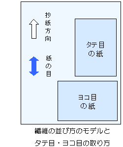 タテ目・ヨコ目