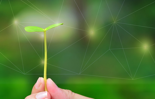 customer satisfaction