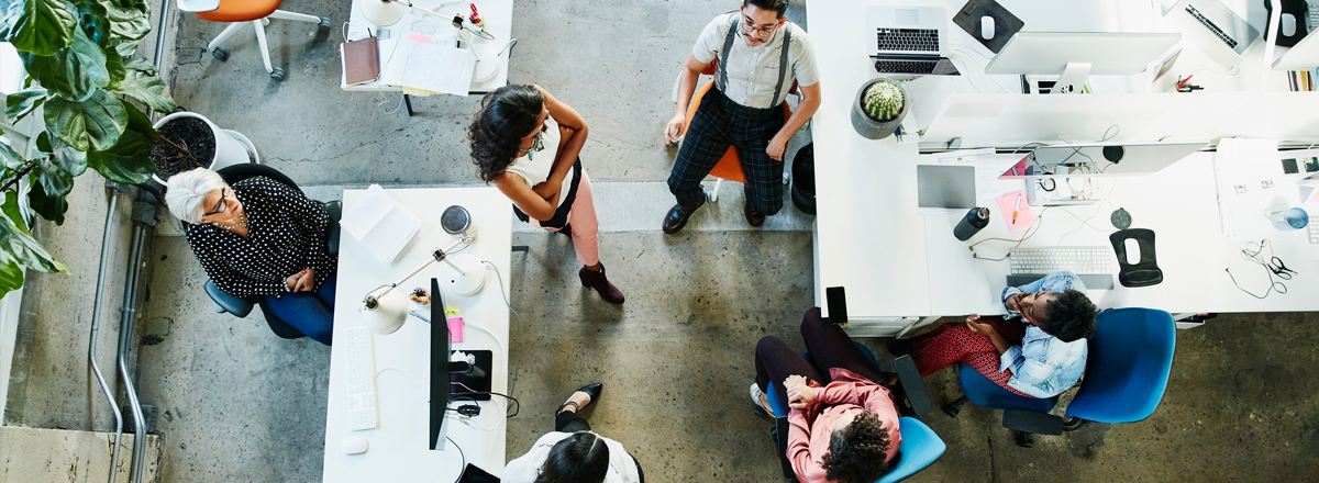 dcc portfolio banner