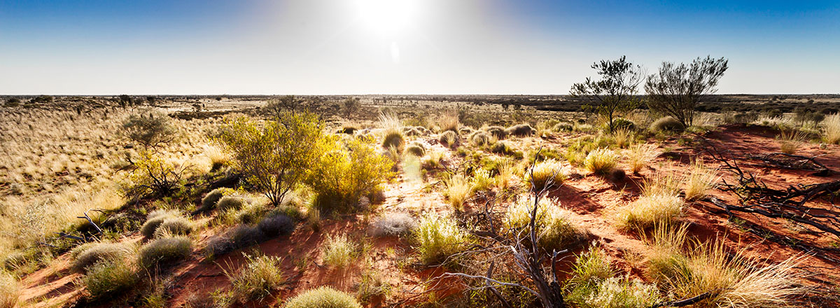 environmental sustainability, environment protection