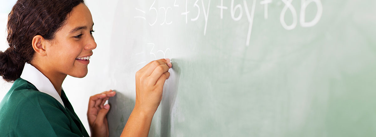 diversity and problem solving