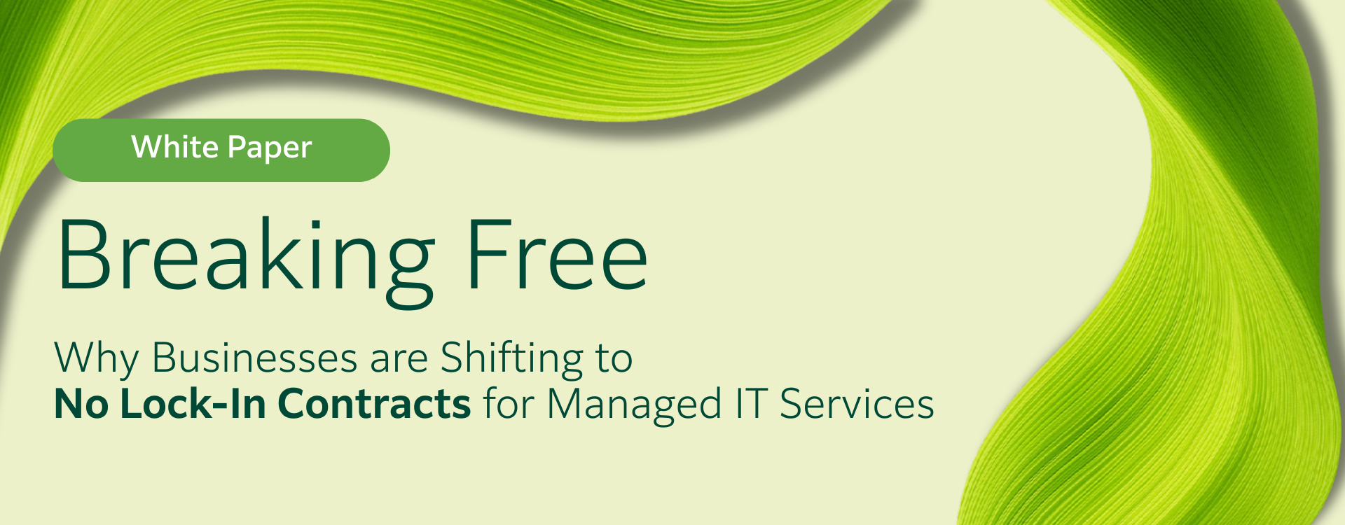 Breaking Free White Paper_Blog Banner