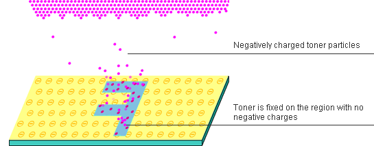 Negatively charged toner particles/Toner is fixed on the region with no negative charges