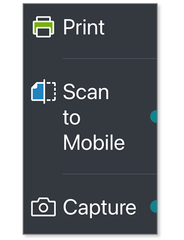 Enlarged screen display