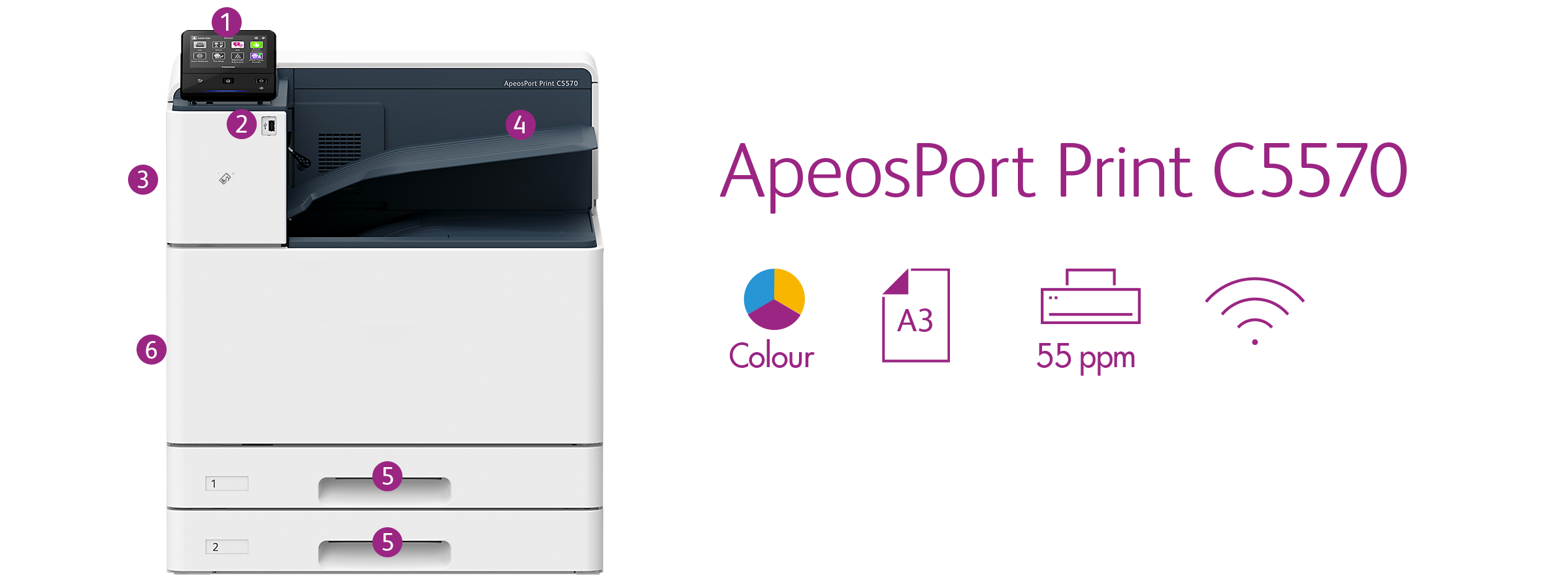ApeosPort Print C5570
