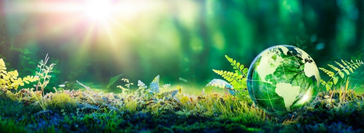 Savings for you and the planet