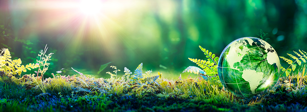 customer satisfaction