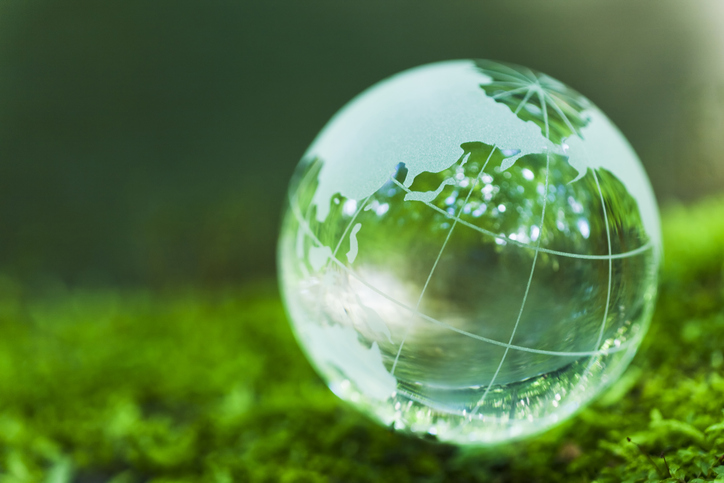 customer satisfaction