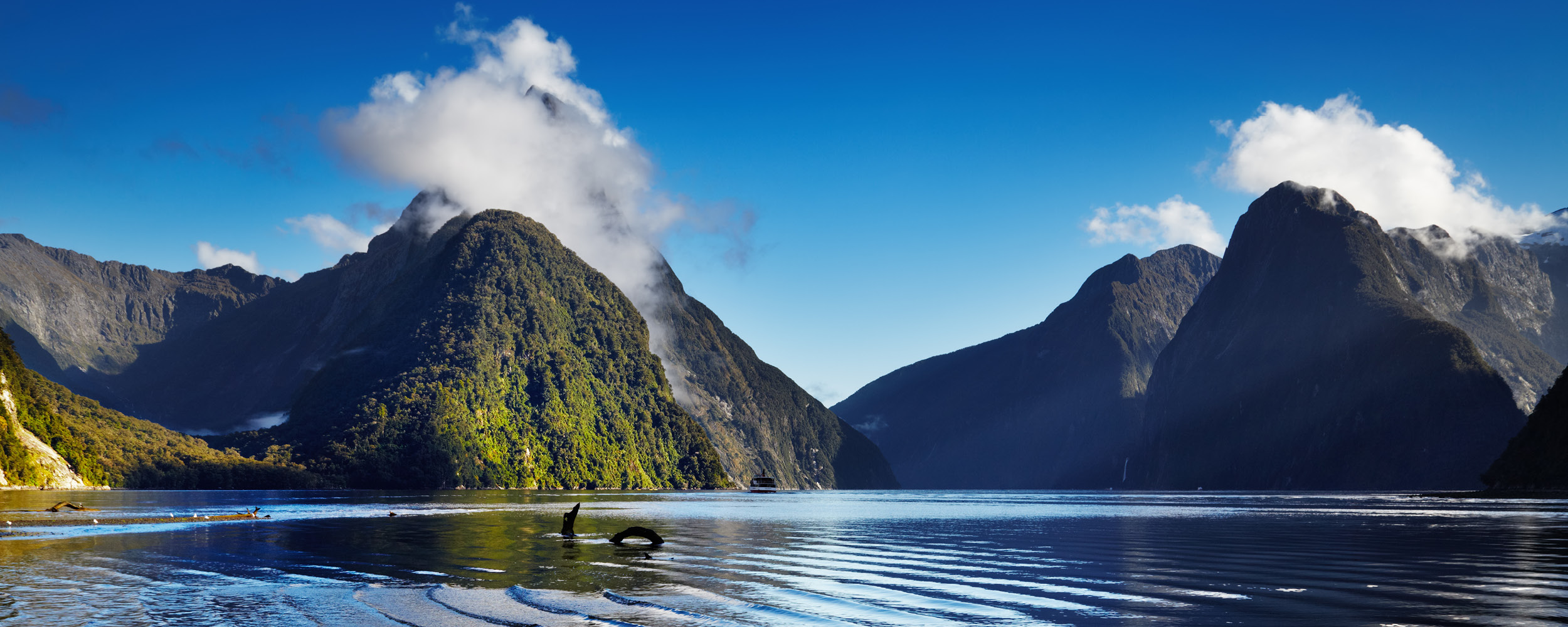 FUJIFILM Business Innovation New Zealand Branch Locations