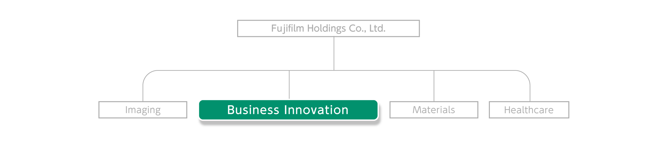 Fujifilm Holdings has four businesses, and we contribute to our customers’ growth through the Business Innovation.