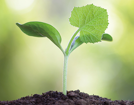 แนวคิดริเริ่มเพื่อการอนุรักษ์พลังงาน