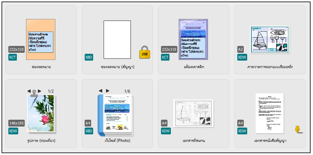 มุมมองเส้นตาราง