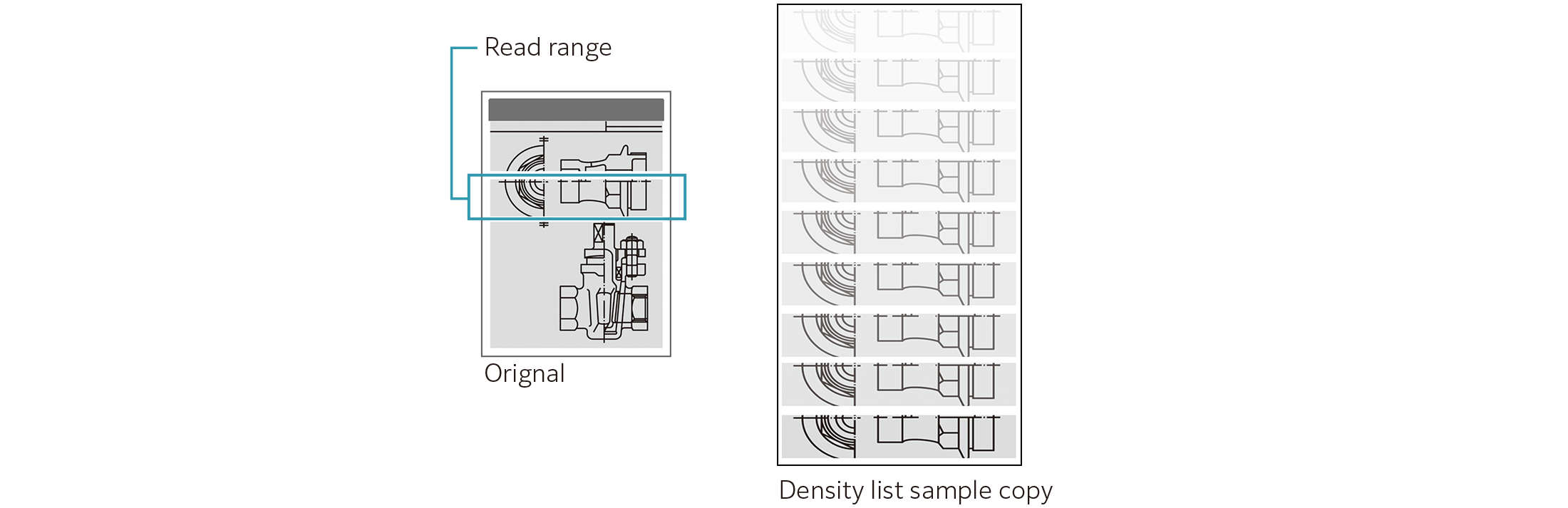 "Sample Copy" Function