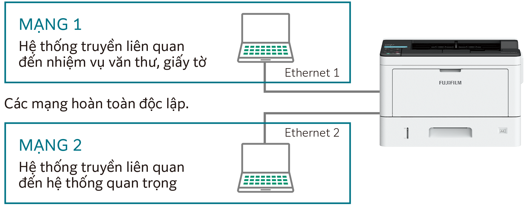 Khả năng mạng kép