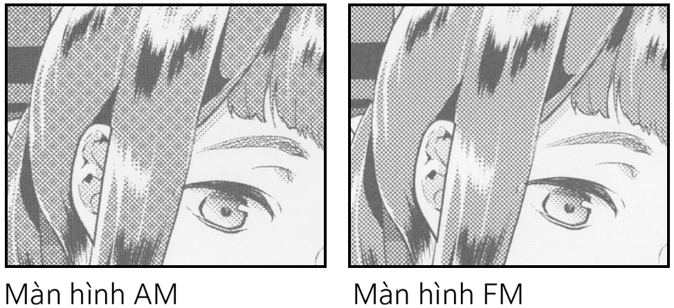 Nhiều lựa chọn màn hình