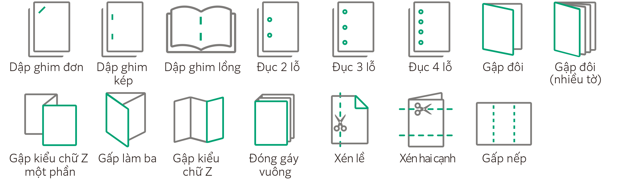 Một loạt các tính năng hoàn thiện đa dạng