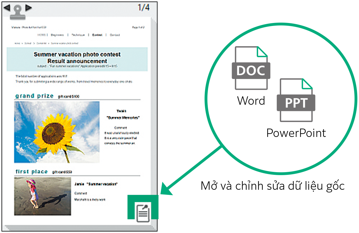 Đính kèm và sử dụng dữ liệu gốc