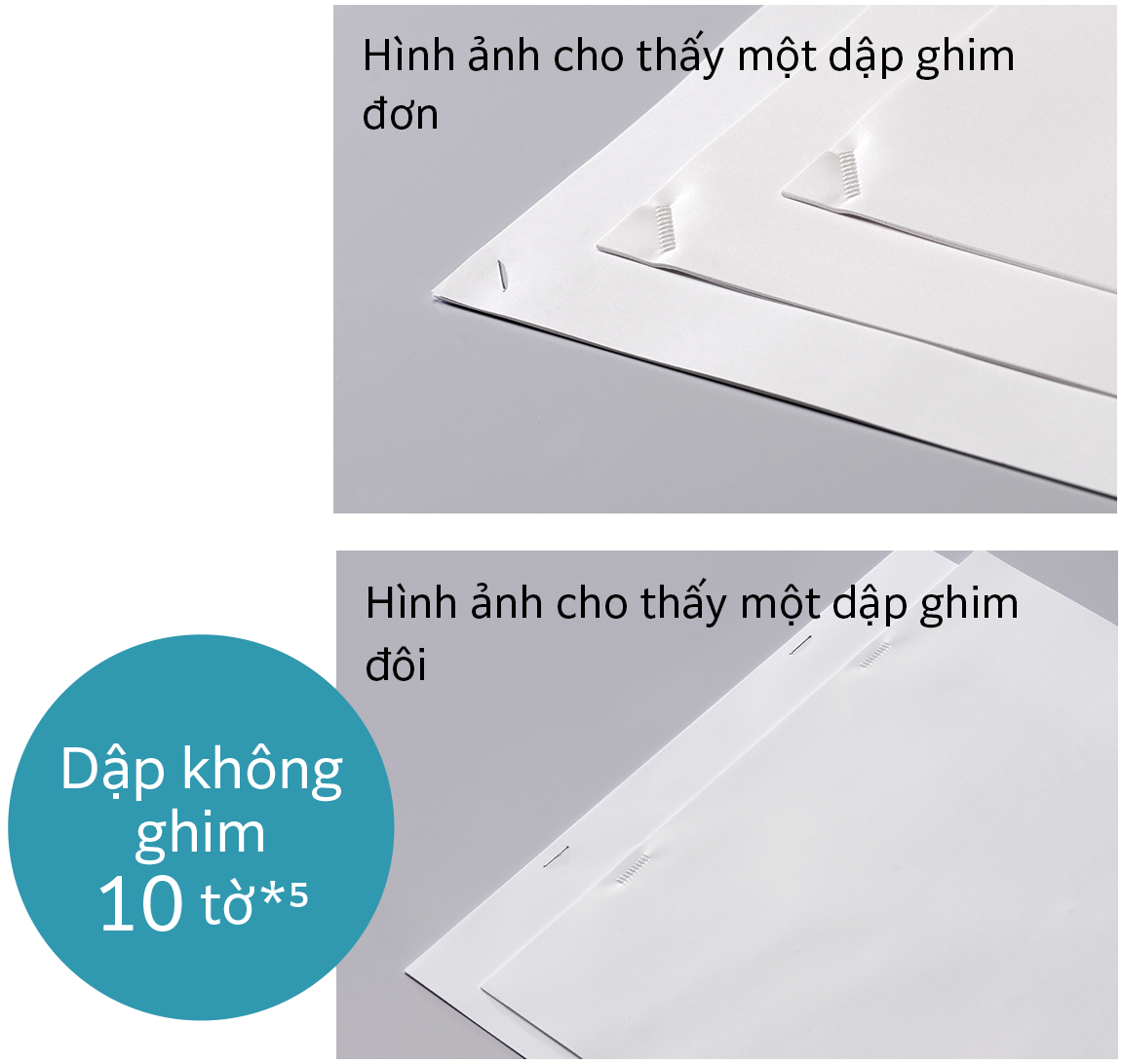 Hỗ trợ Dập không ghim đơn và đôi