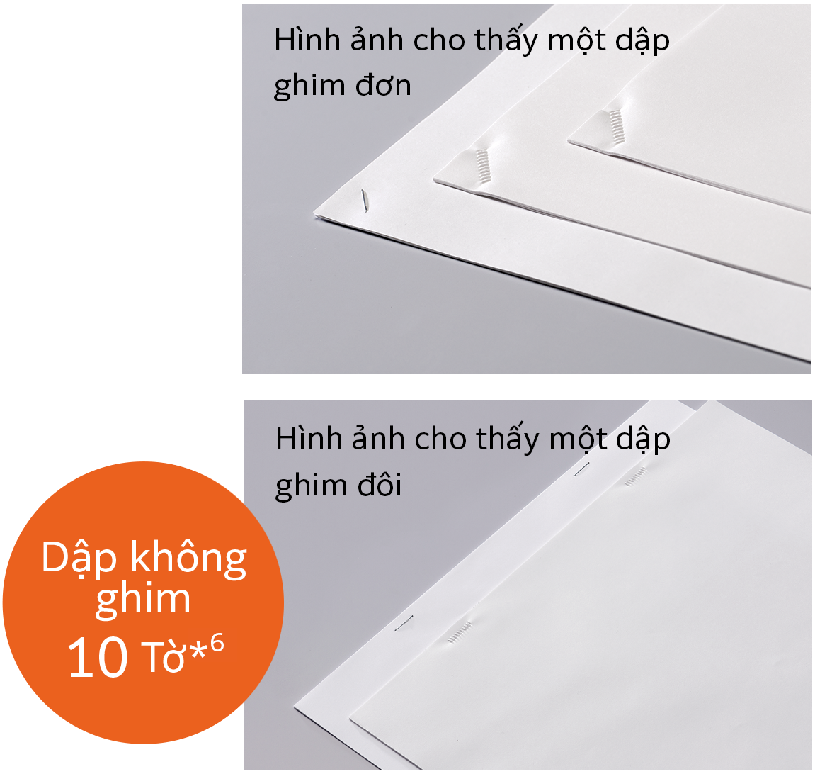 Hỗ trợ Dập không ghim đơn và đôi